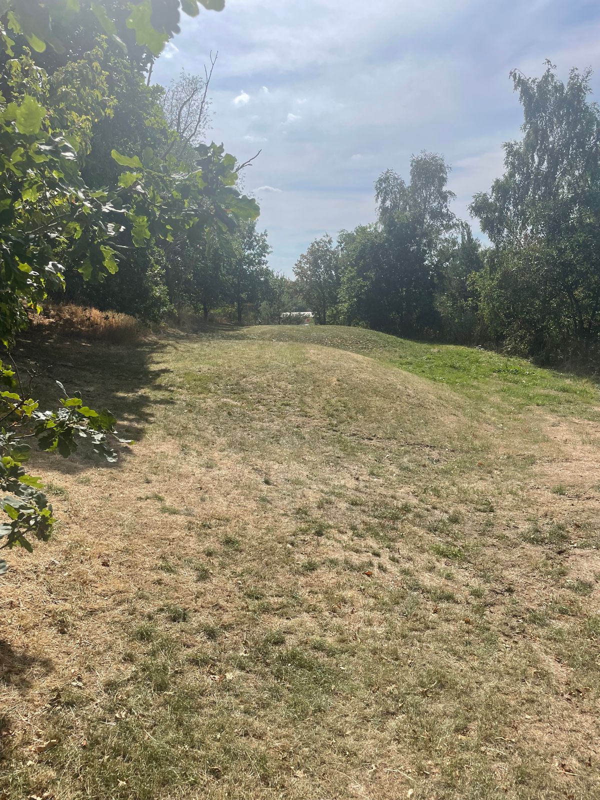 Hole 6 from Tee