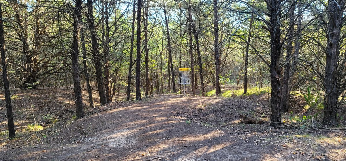 Hole 5 basket / green