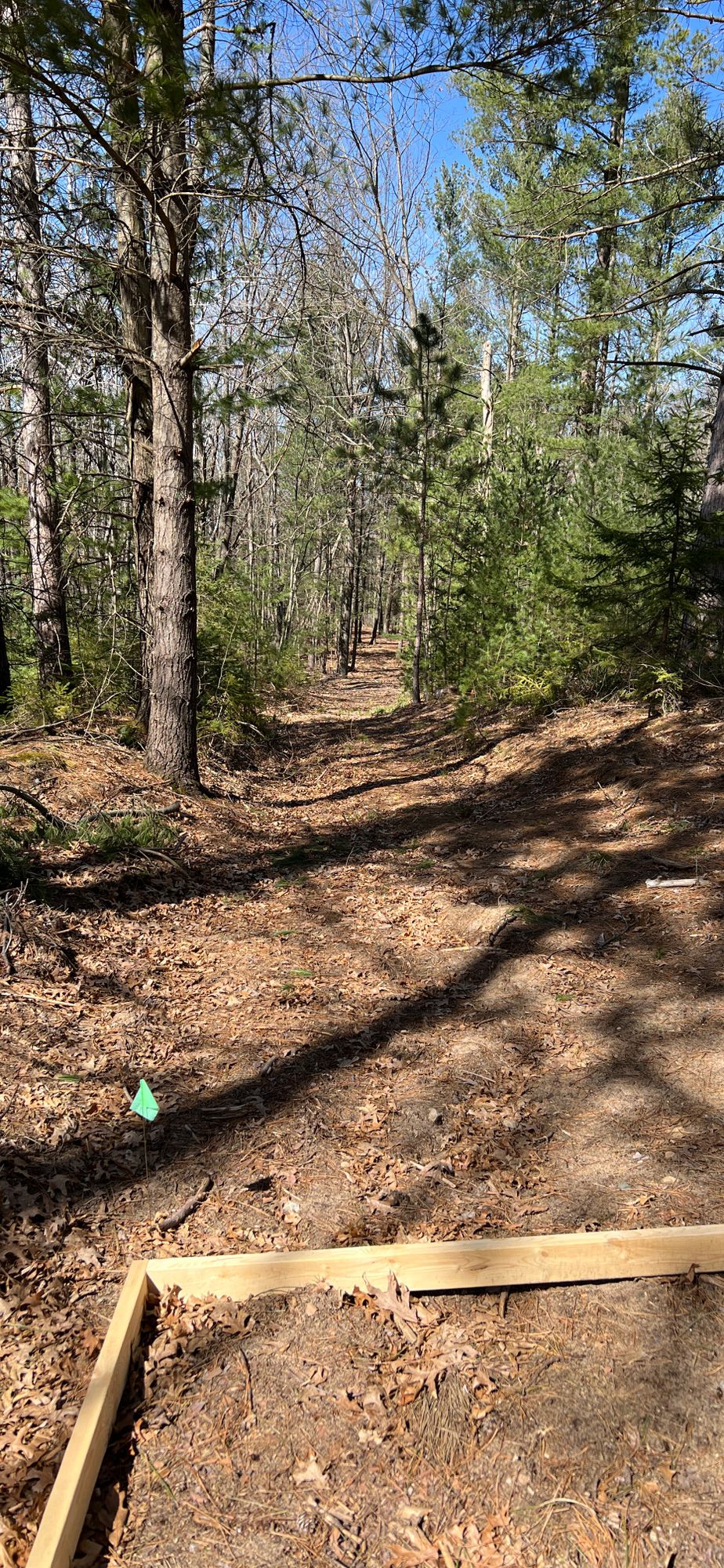Hole 6 Tee