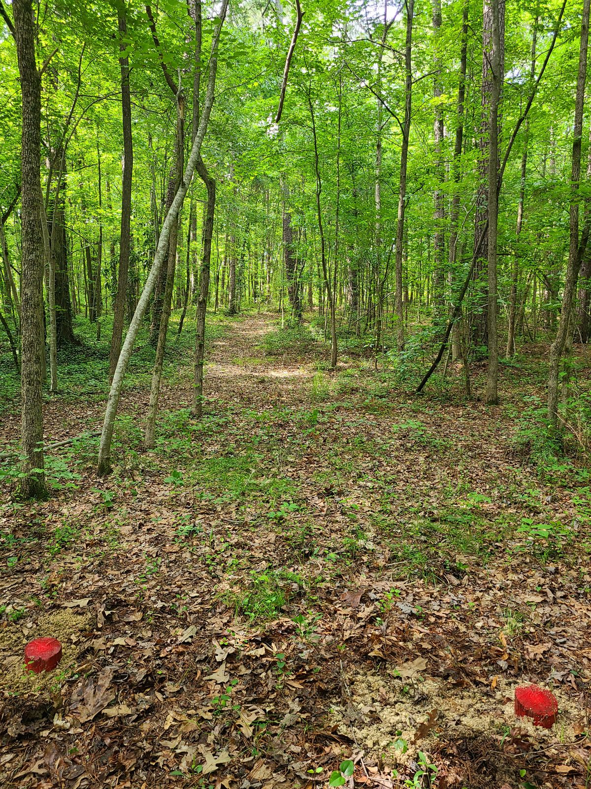 Hole 5 - Dog leg right