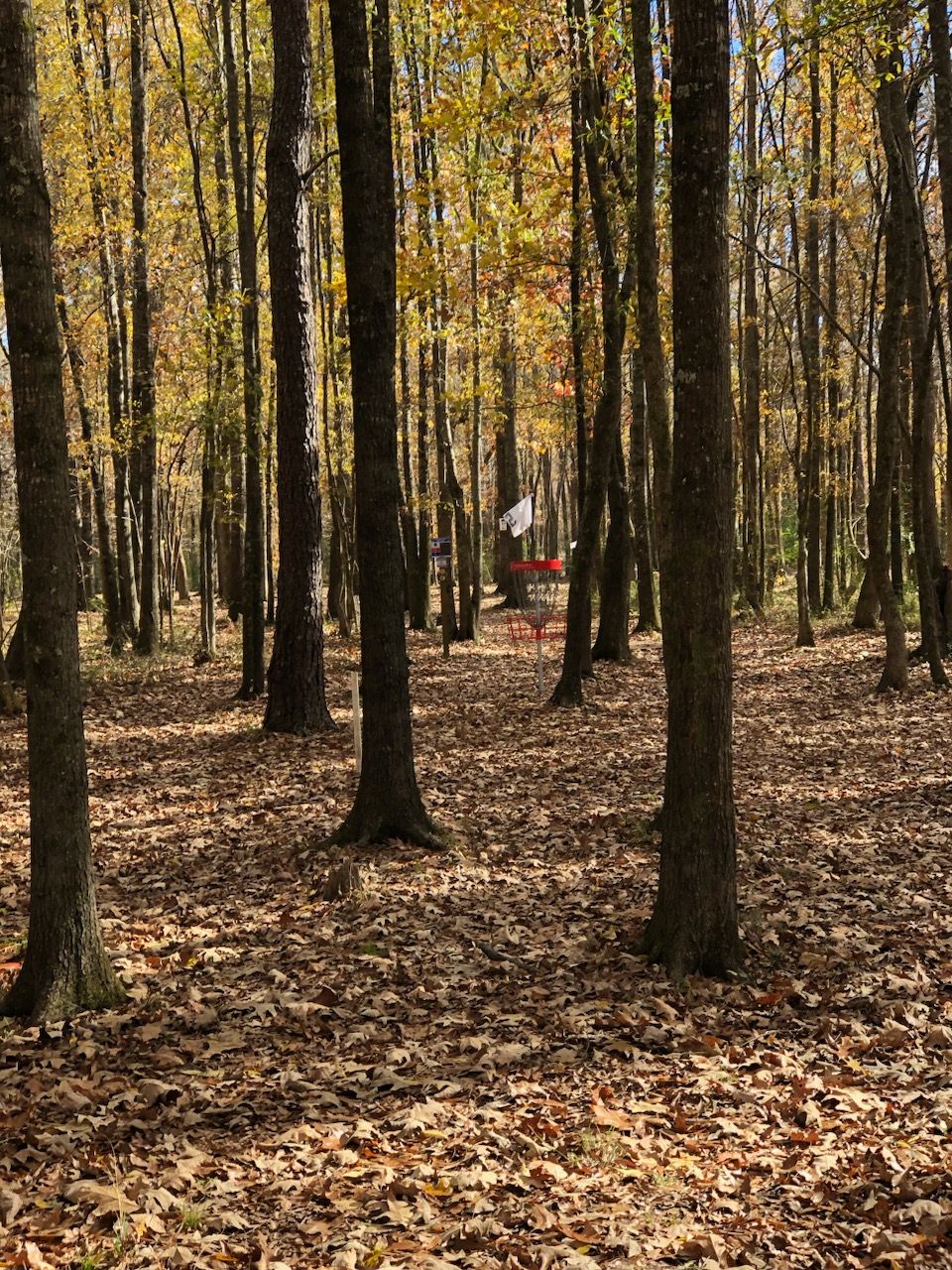 Hole 5