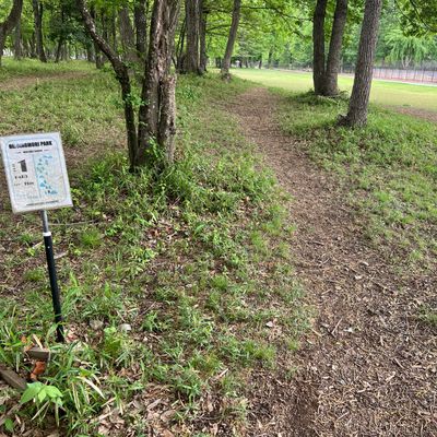 Tee for hole 1