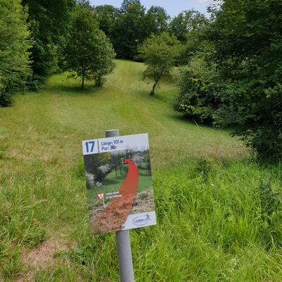 Tee Bahn 17