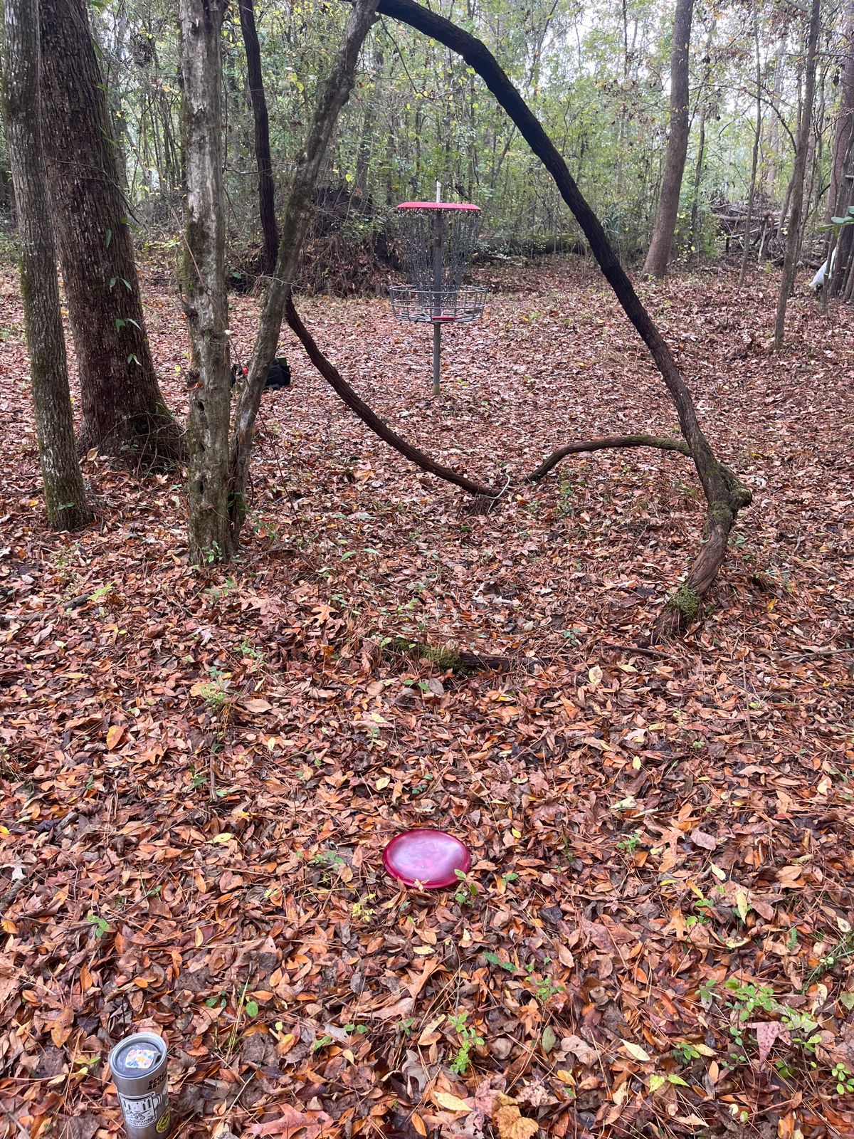 Great birdie hole