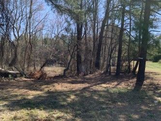 Hole 11 green and temp basket