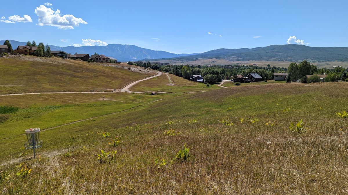 Lots of knee to waist high grass.