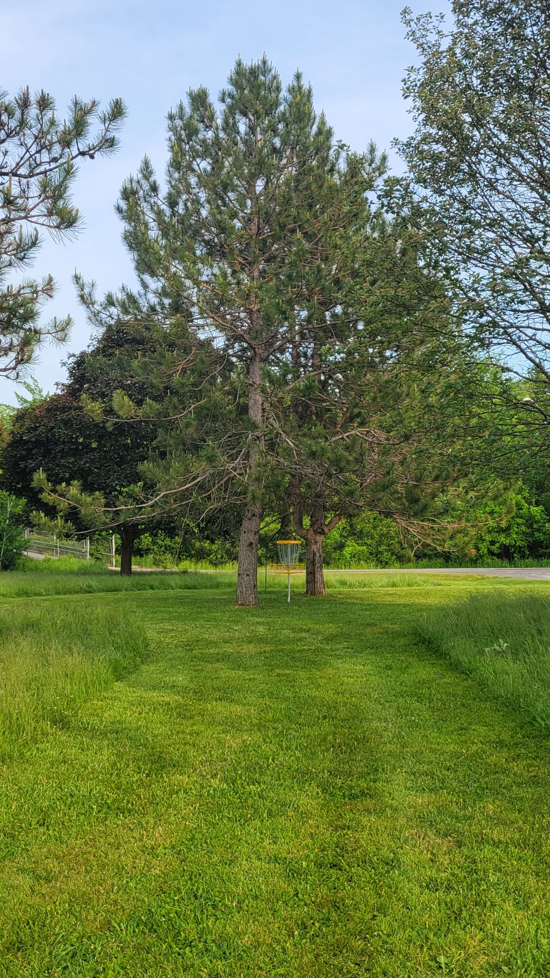 Hole 15 basket has a couple serious guardians!