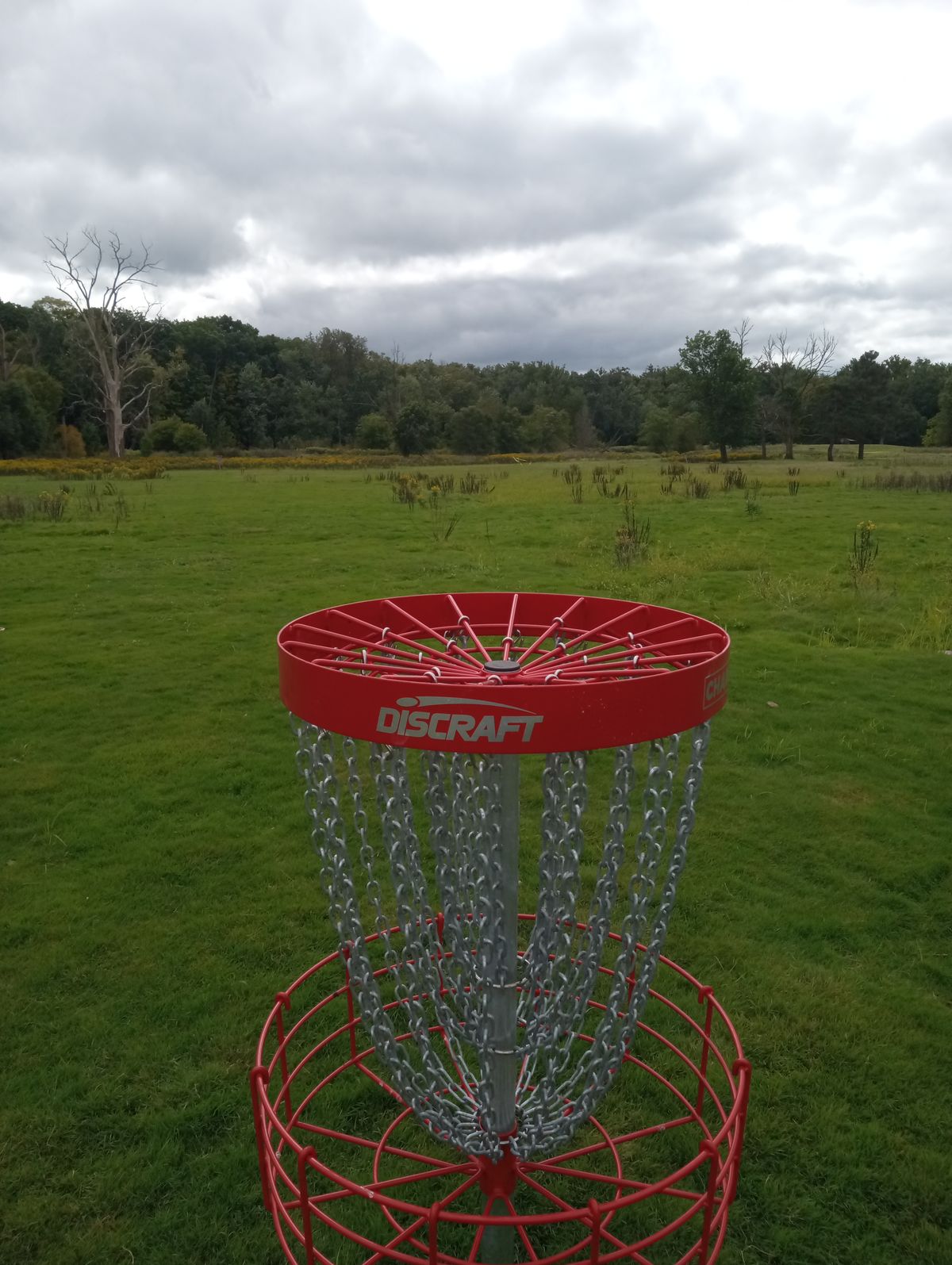 Hole 4 back to tee