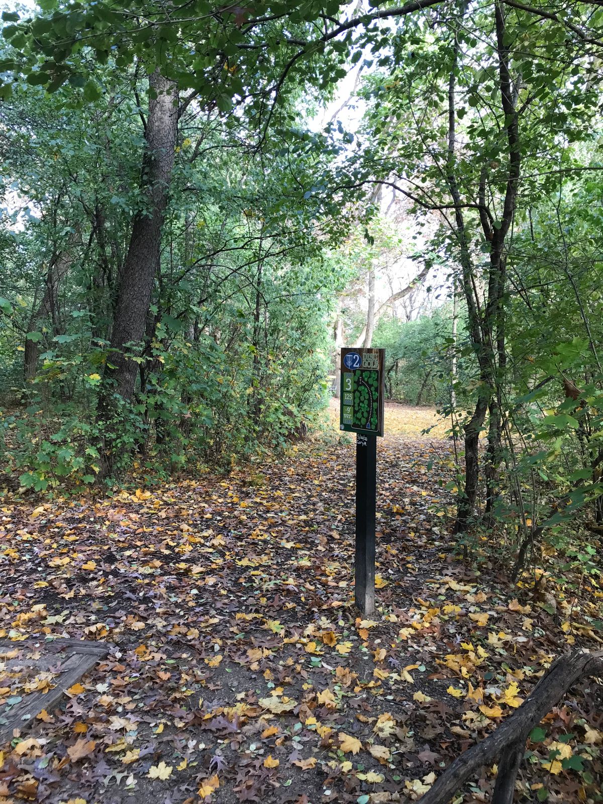Hole 2 view with basket.