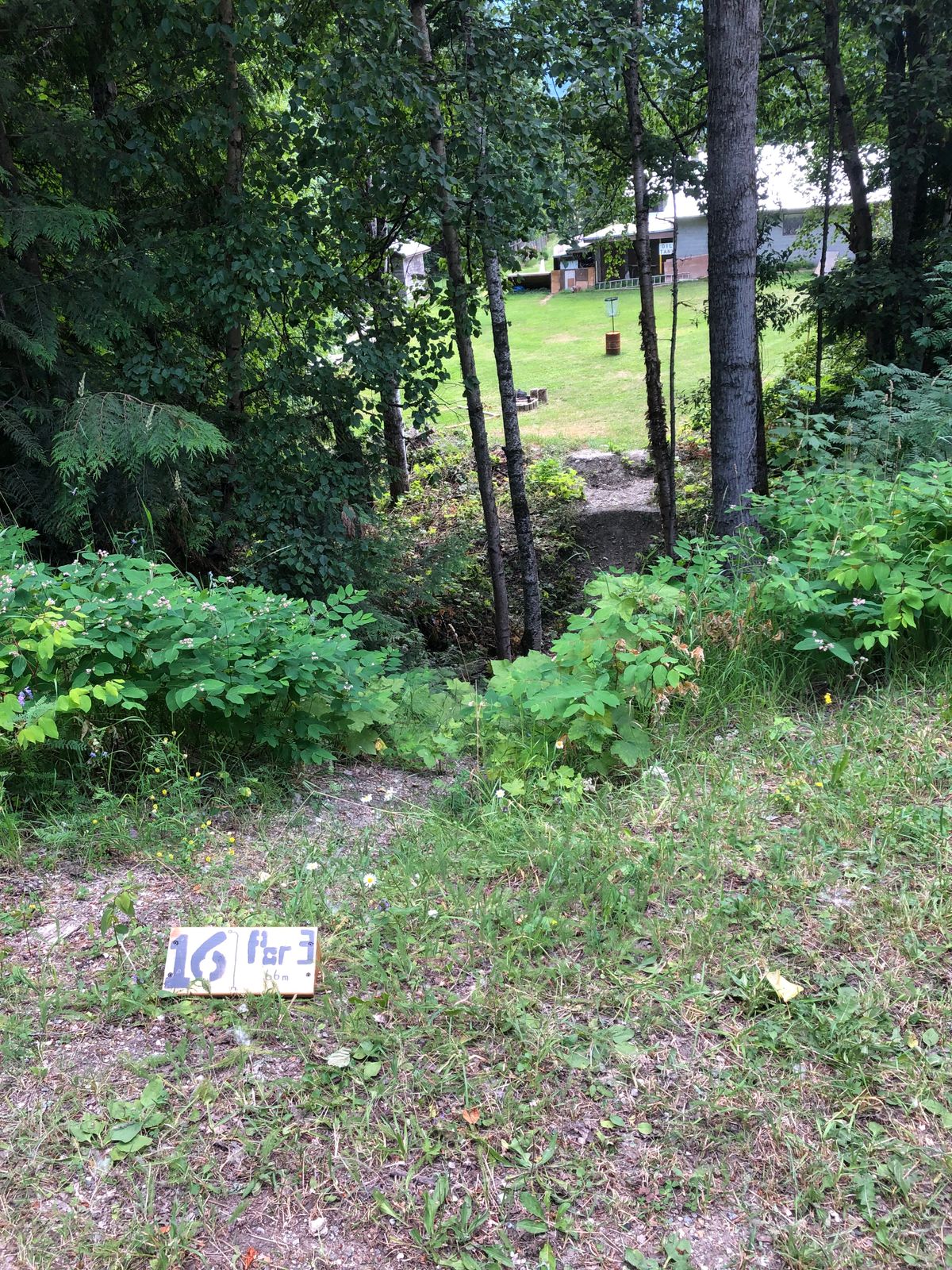 Hole 16 tee, hit the gap, going for doug behind the shed.