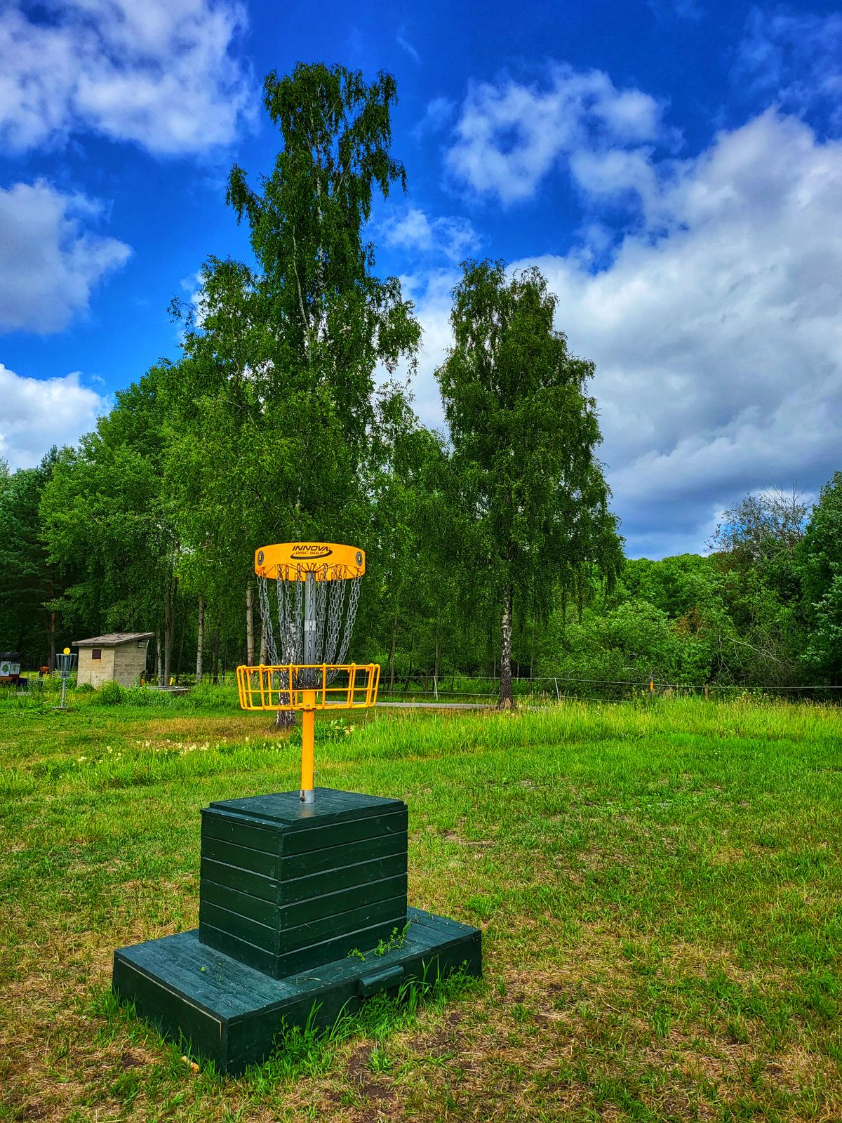 Basket in hole 9
