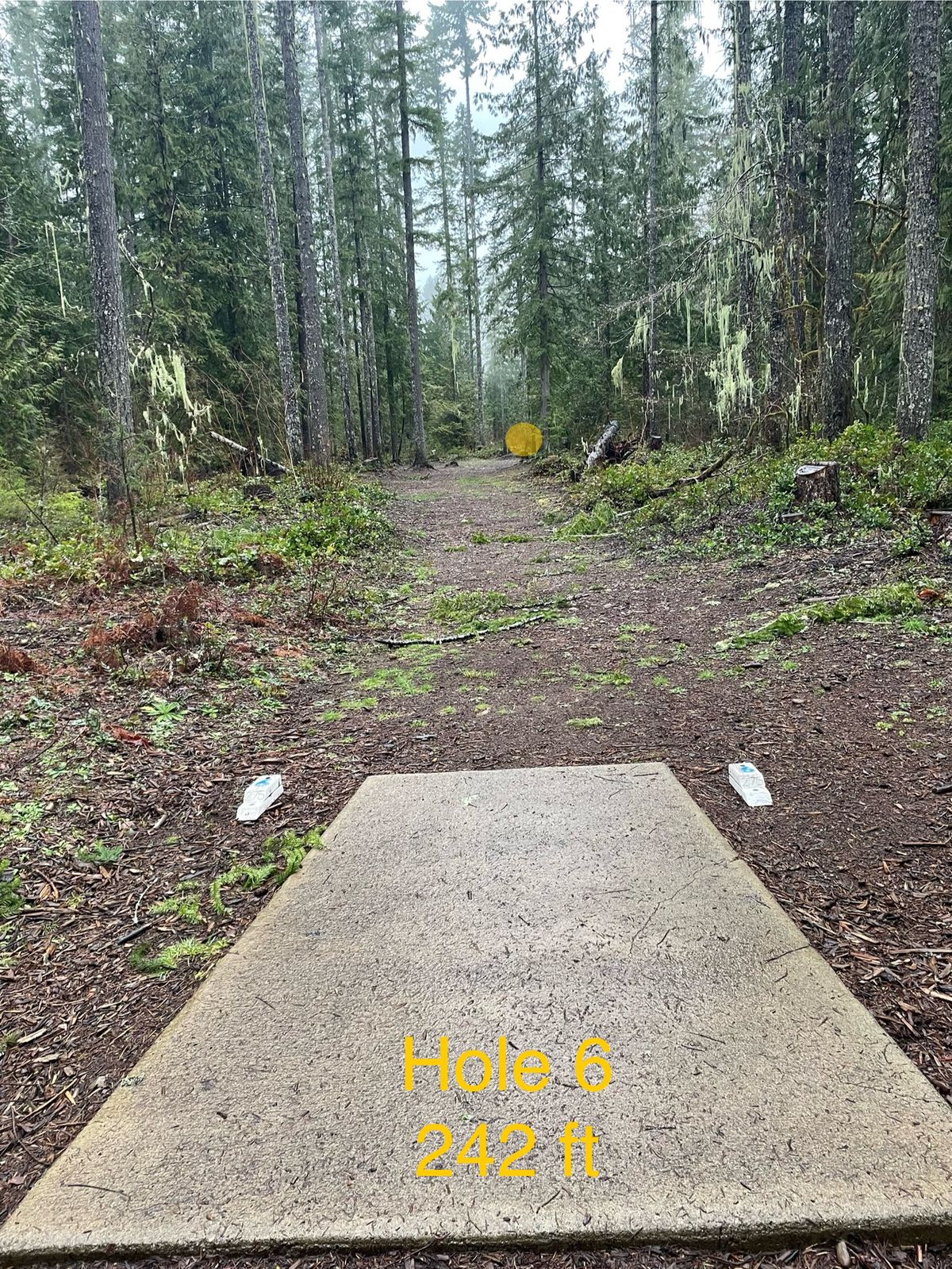Hole 6
