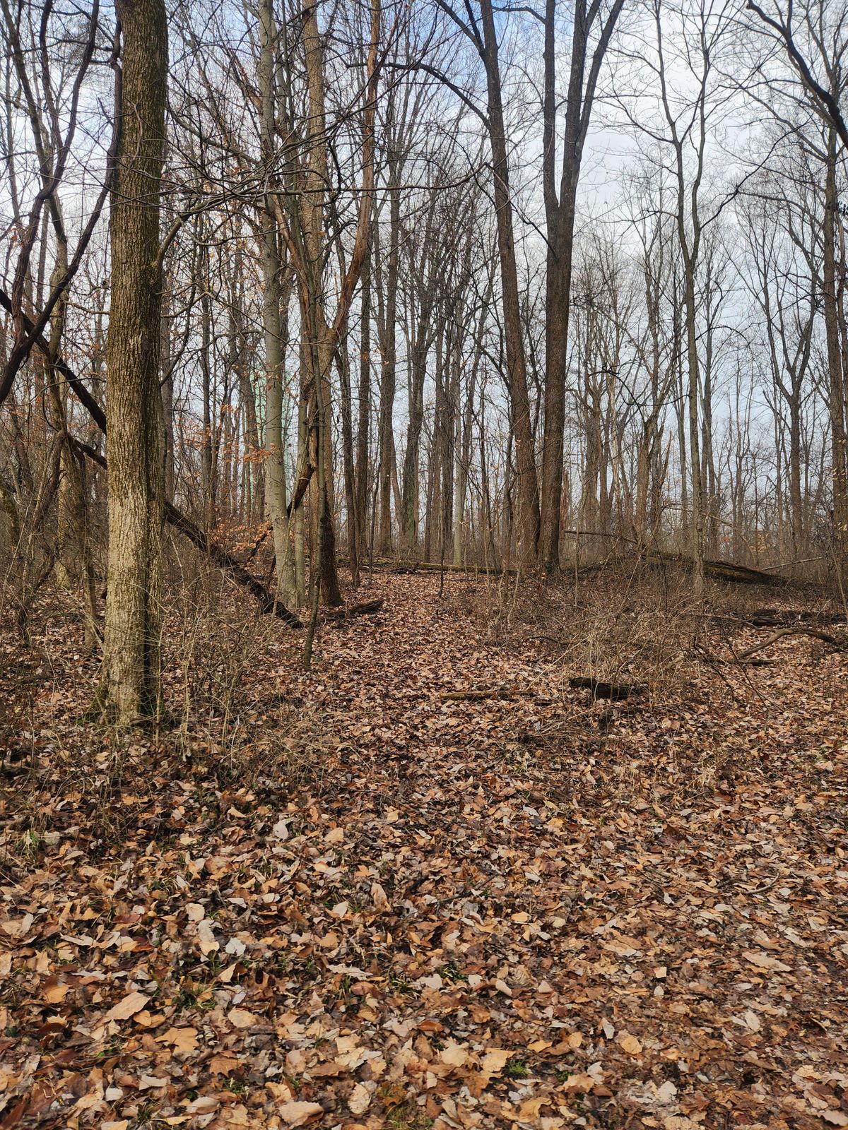 Hole 3 - from second shot uphill to the left.