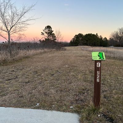 Hole nines fairway view