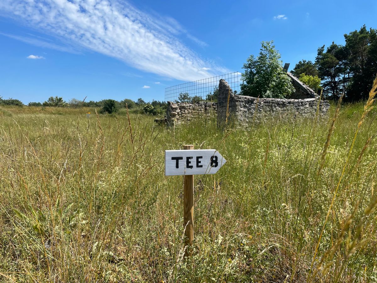 Next tee shown everywhere on the course.