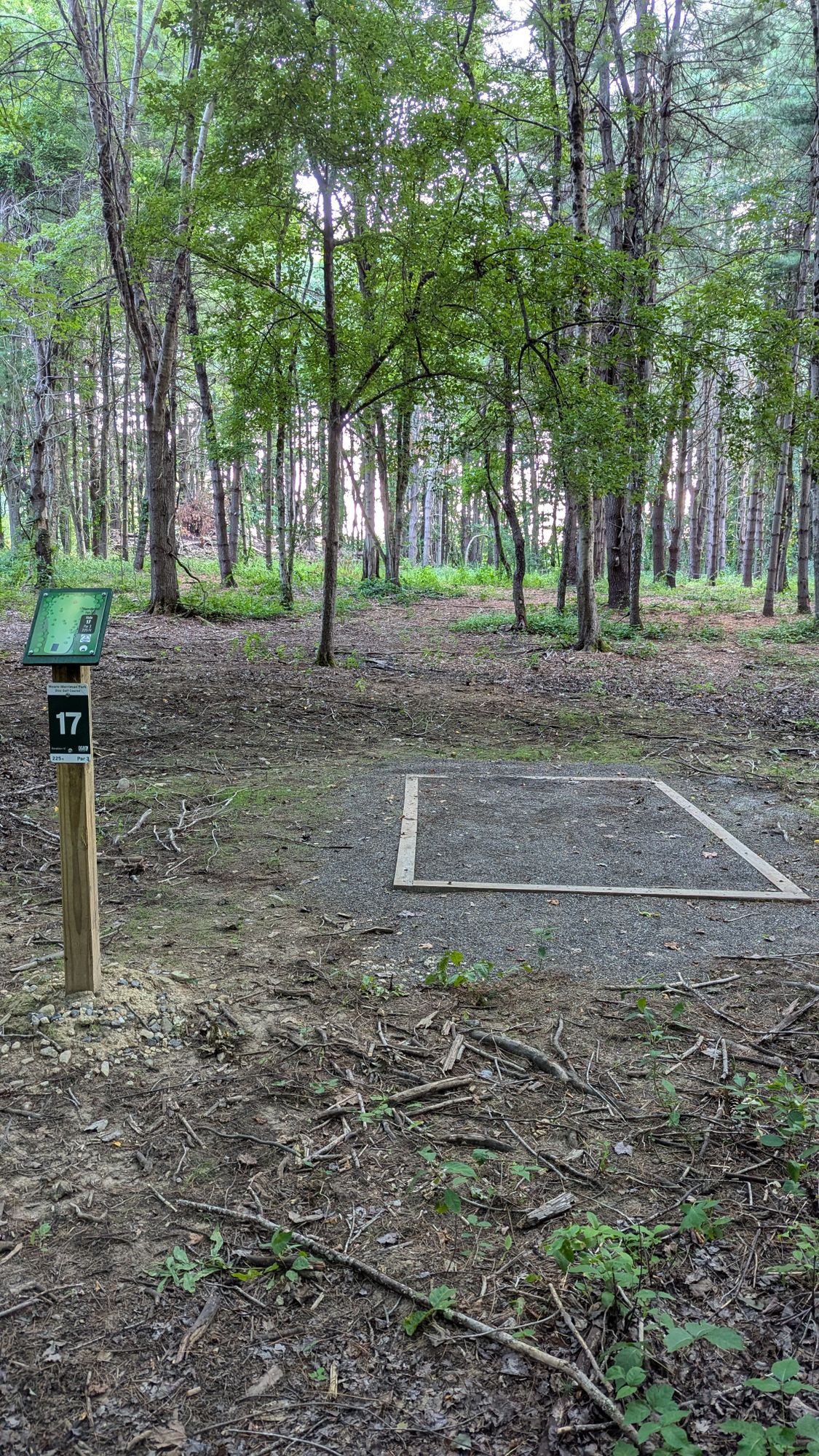 Hole 17 tee, 225' to pin