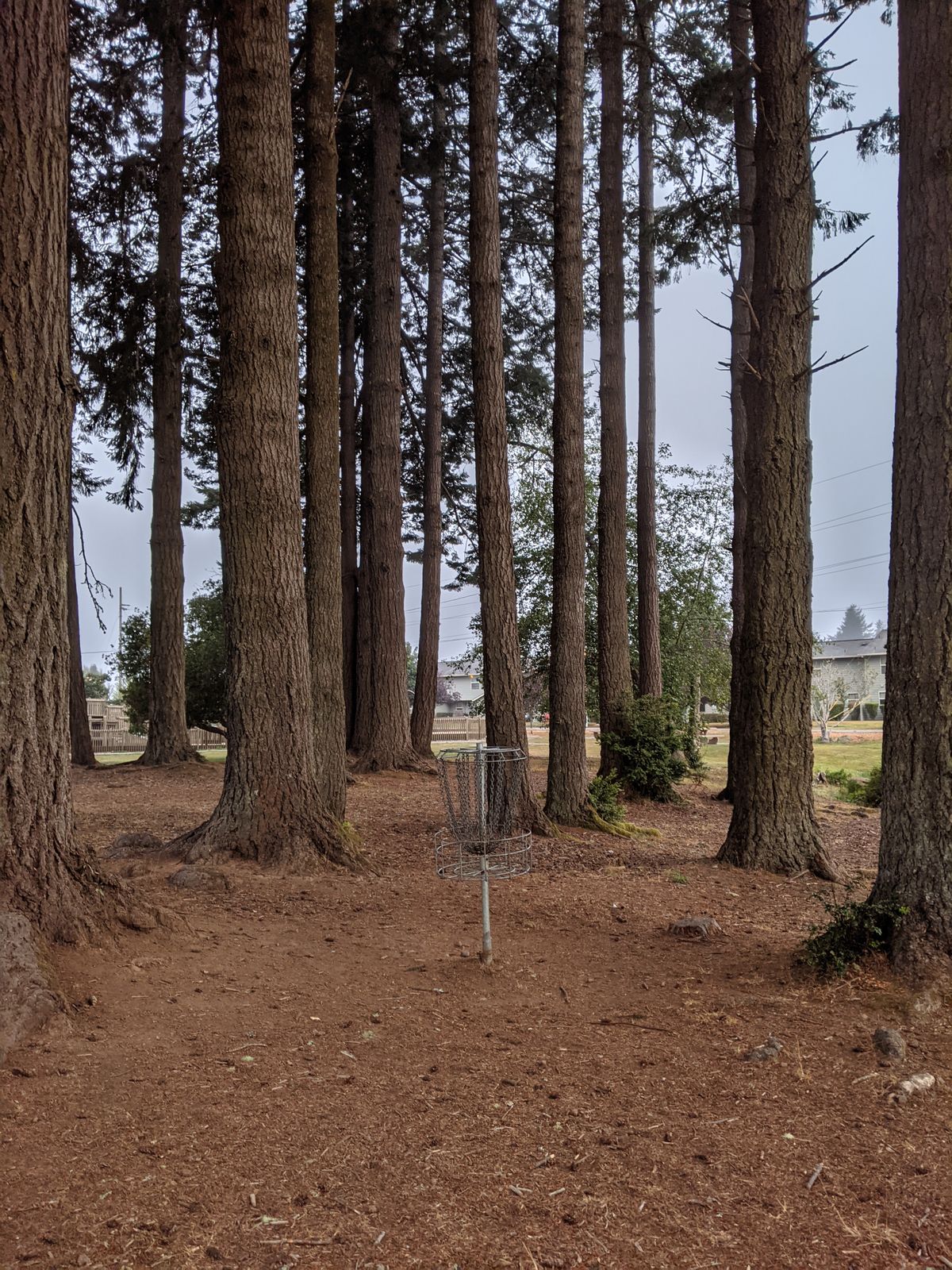 hole 3