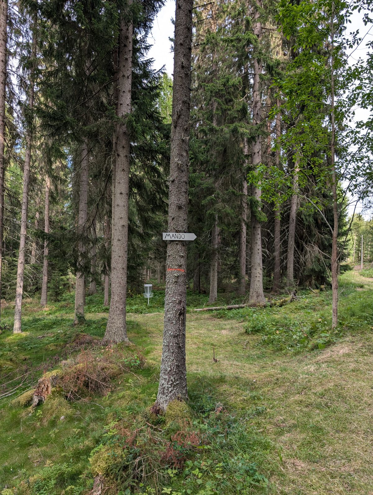 Korg hål 5