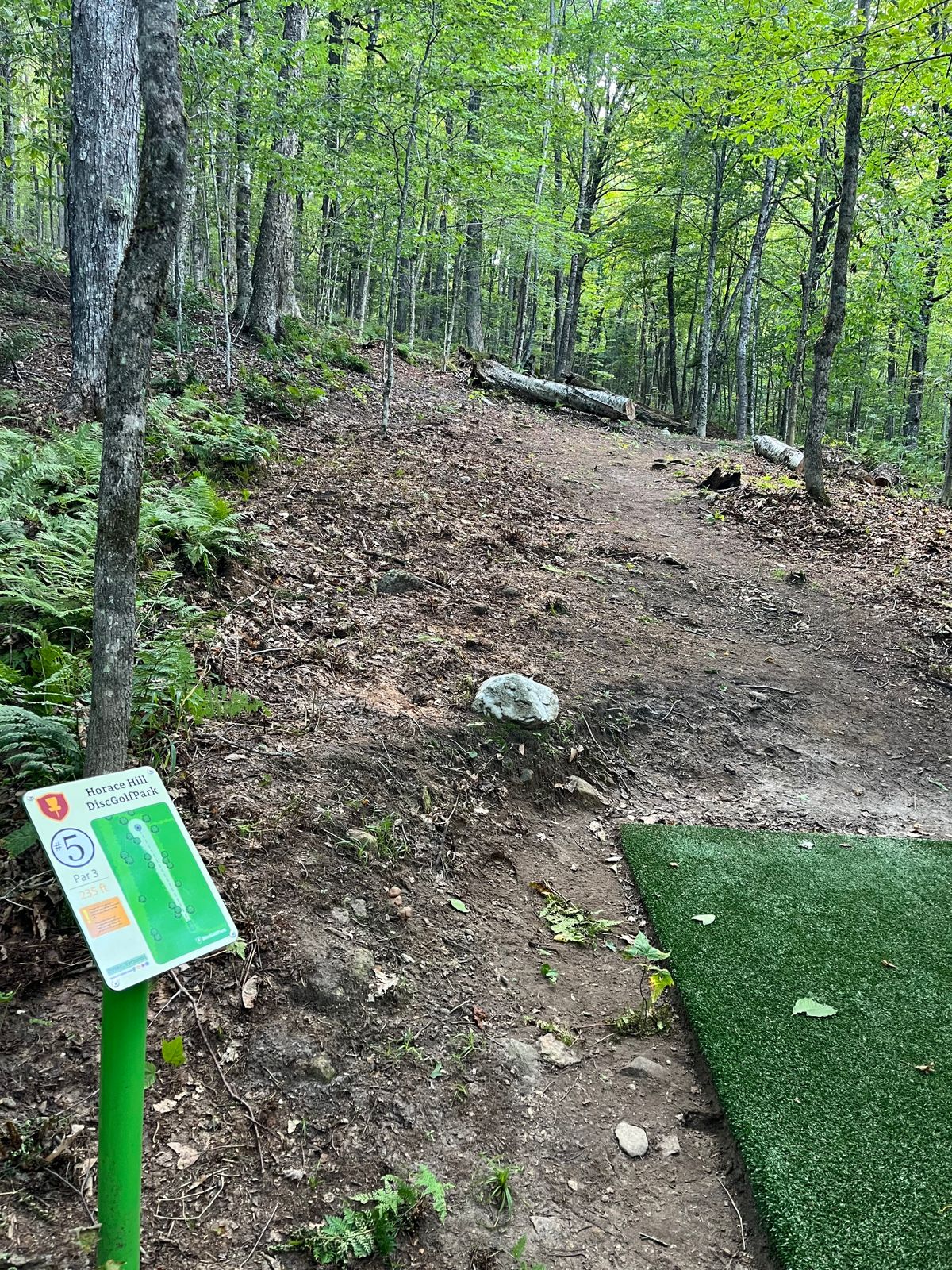 Hole 5 tee pad