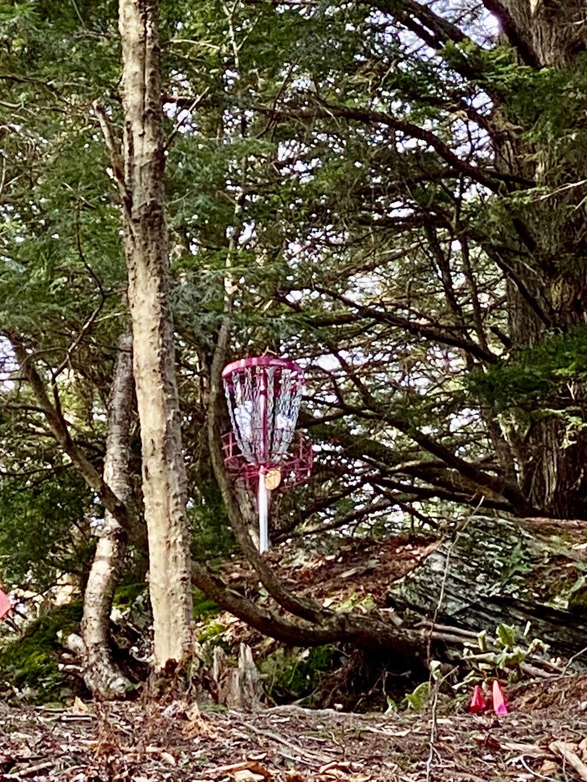 Hole 2 - There it is!