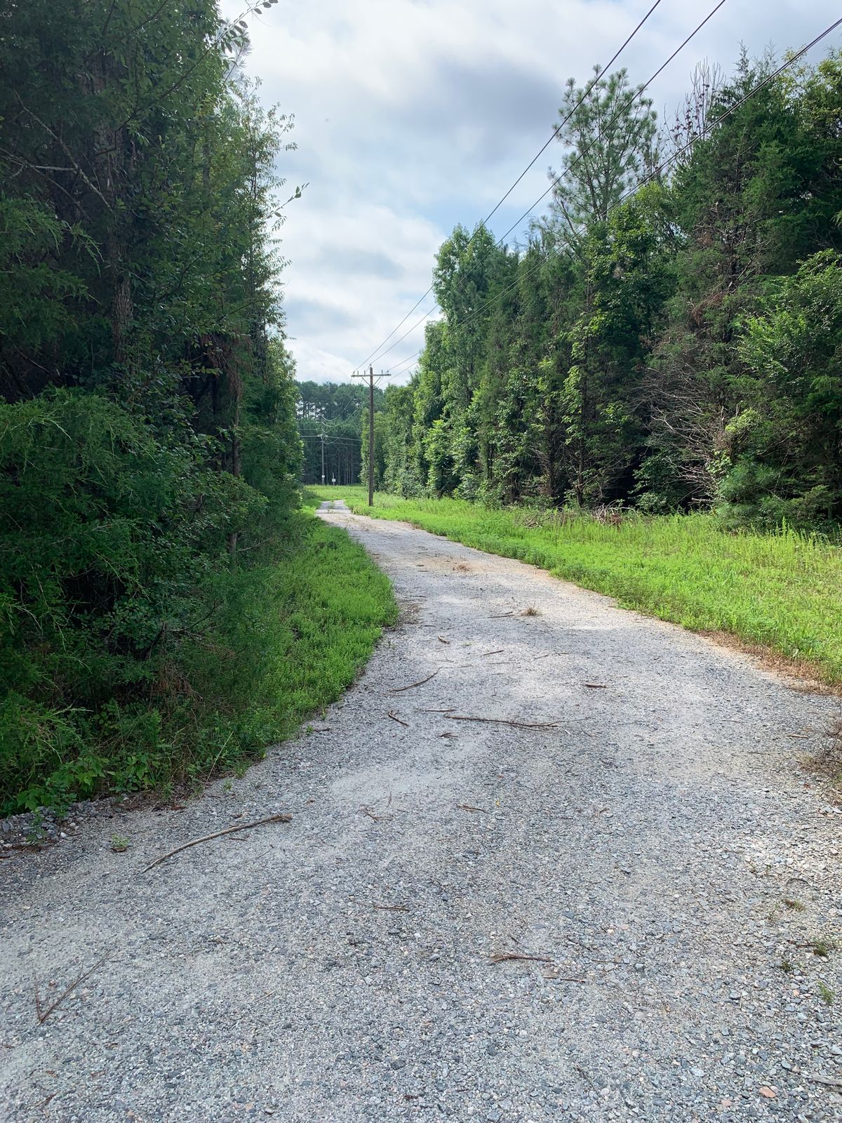 Entrance road