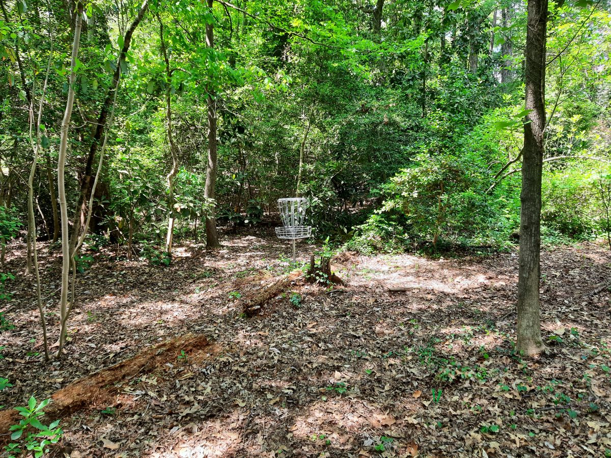 Hole 7 Green A Pin