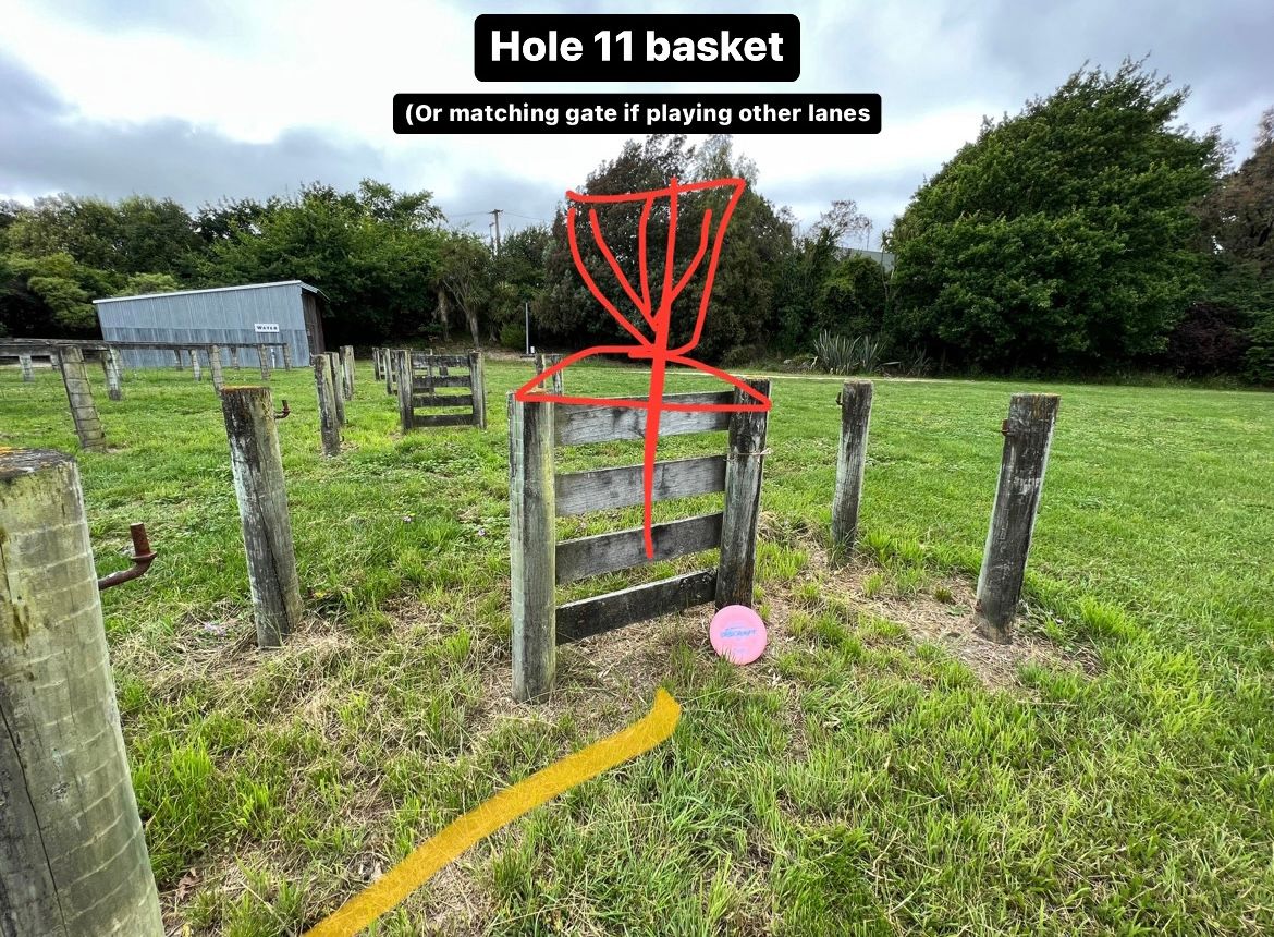 Hole 11 basket