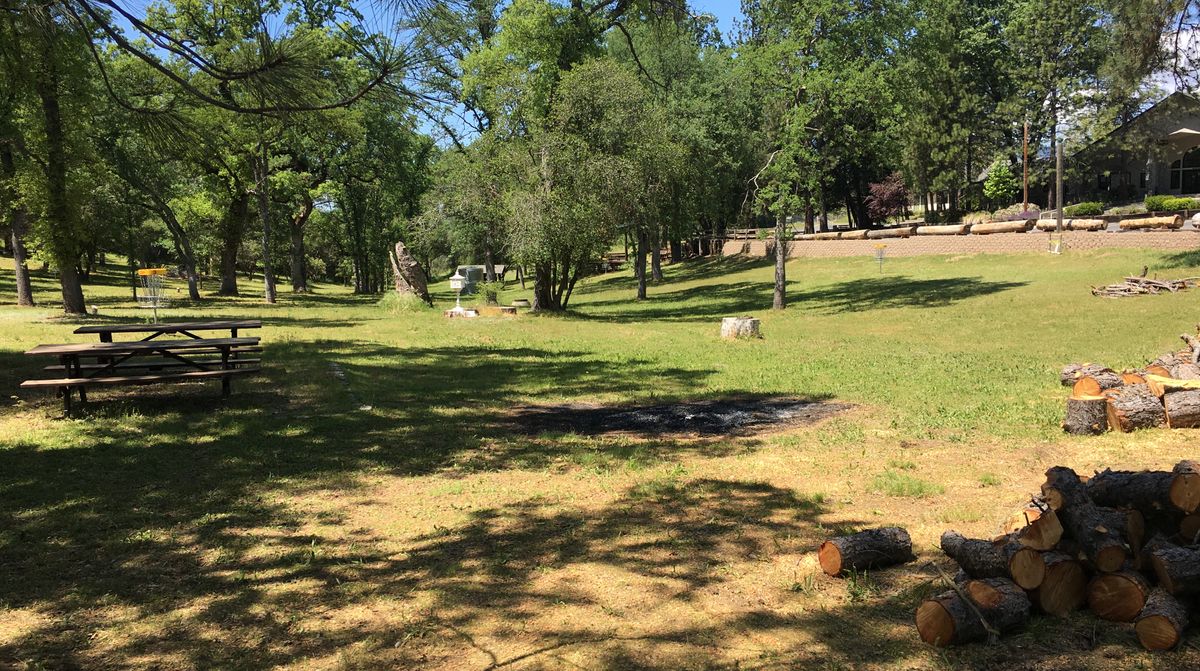 From tee #1