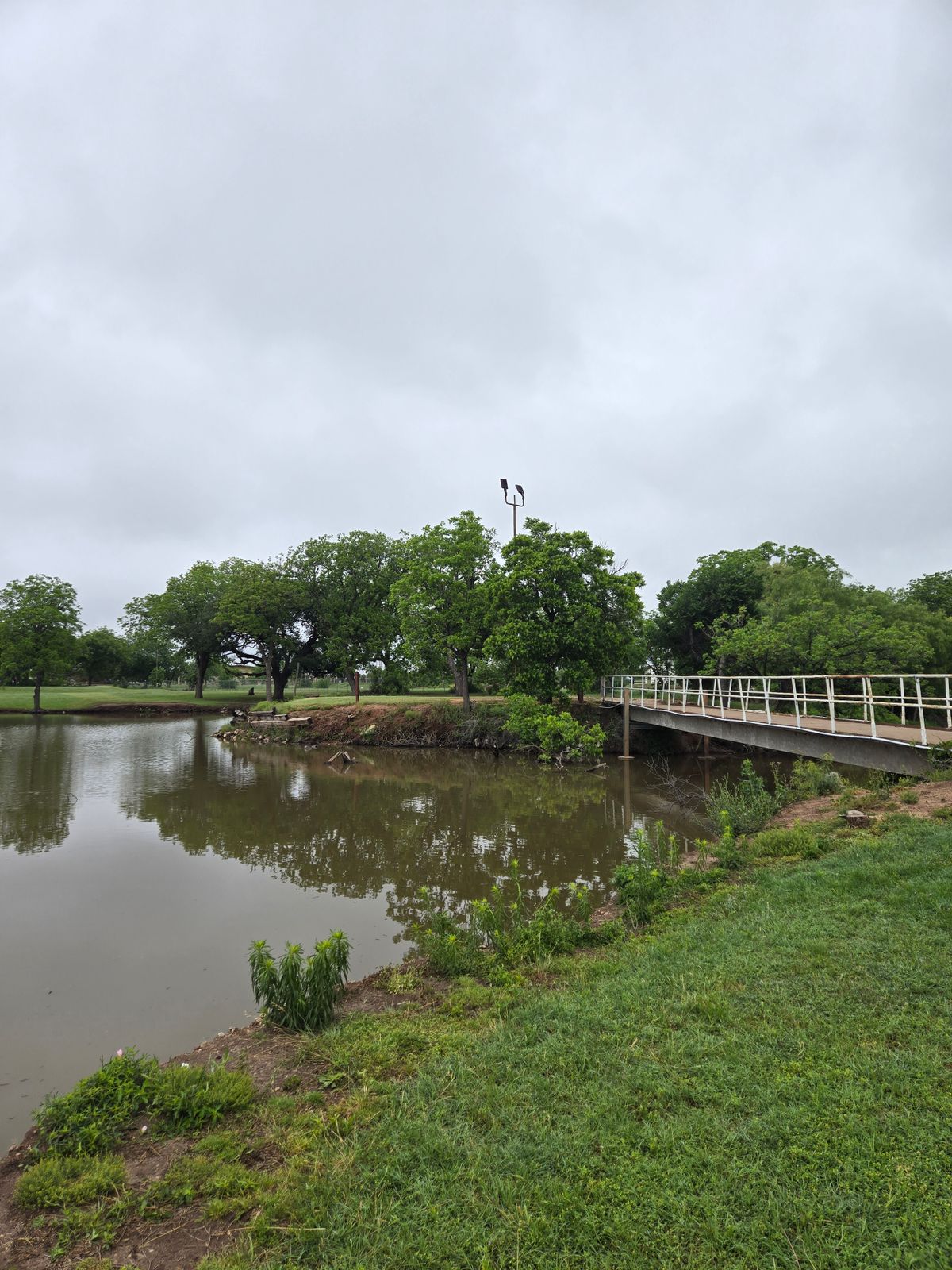 Hole 3 Tee