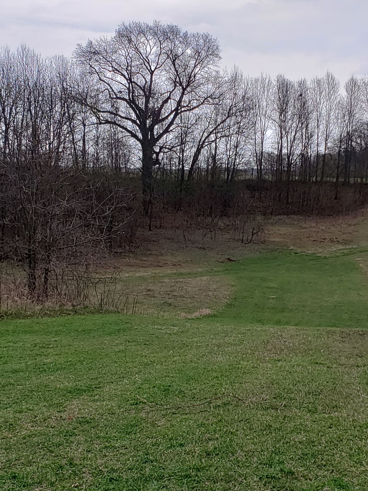 Hole 1 short tee.