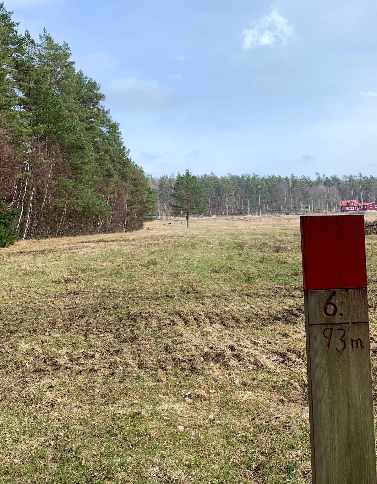 Hole 6, 93 m, basket around the corner of the woods