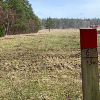 Hole 6, 93 m, basket around the corner of the woods