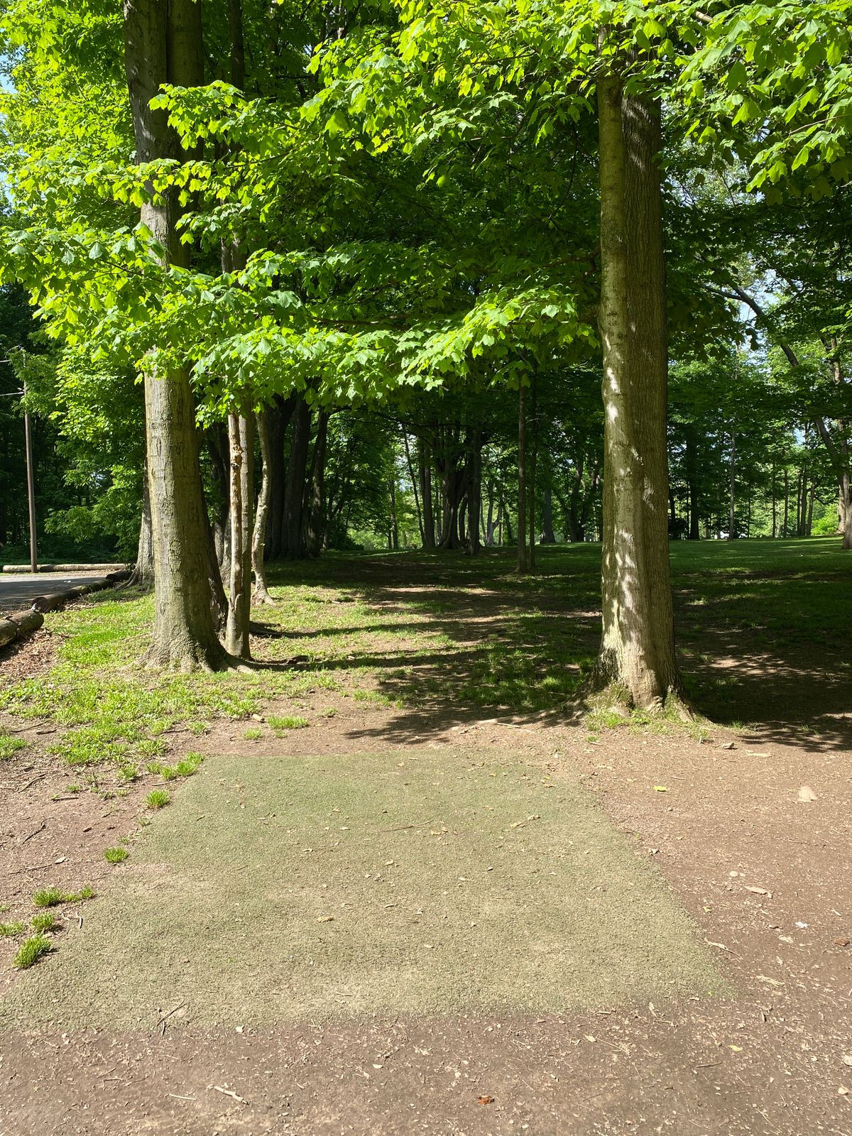 Hole 6