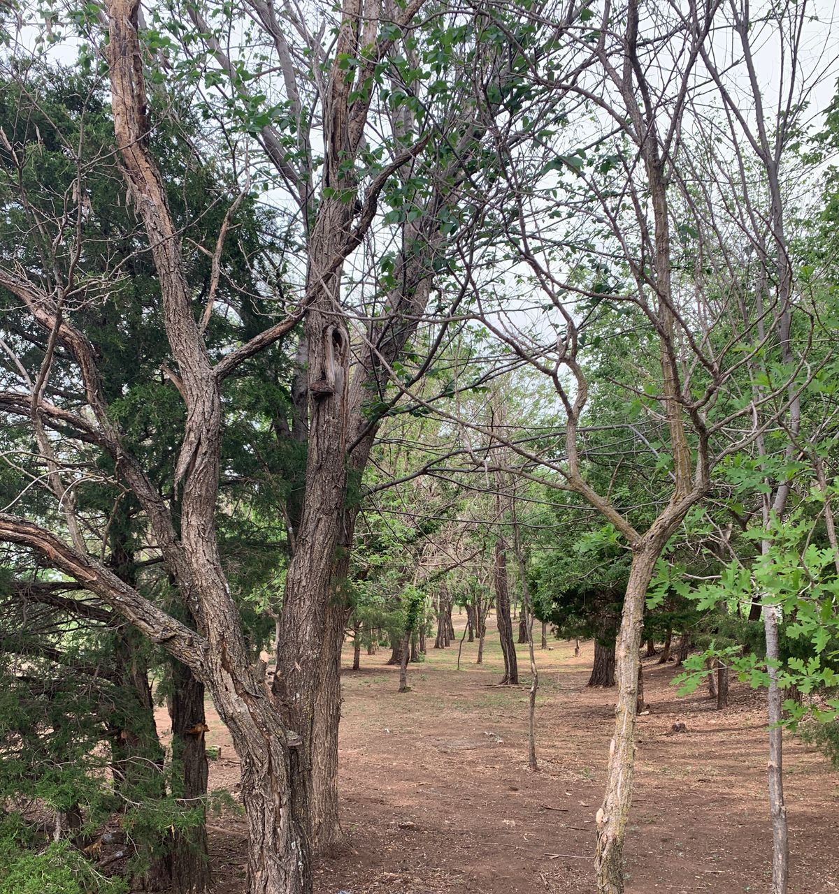 Hole 1