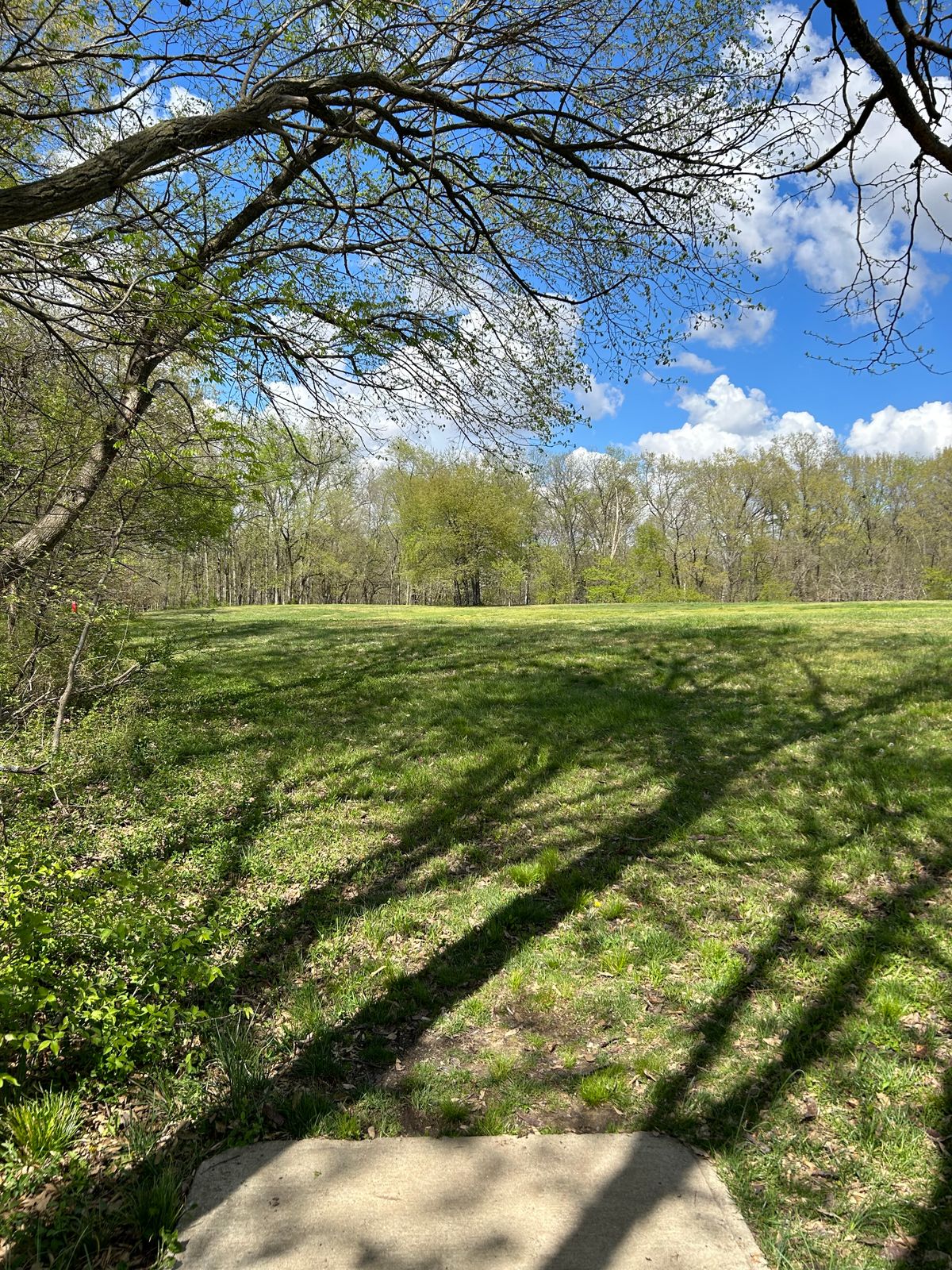 Hole 14 Fairway(white tee)