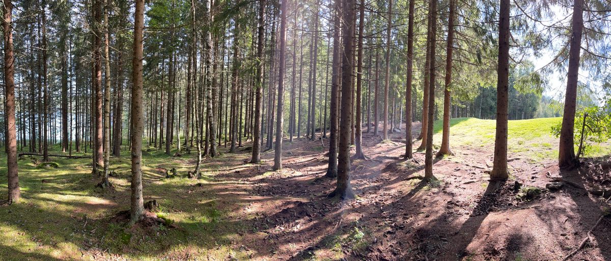 Hole 6. Can you spot the basket?