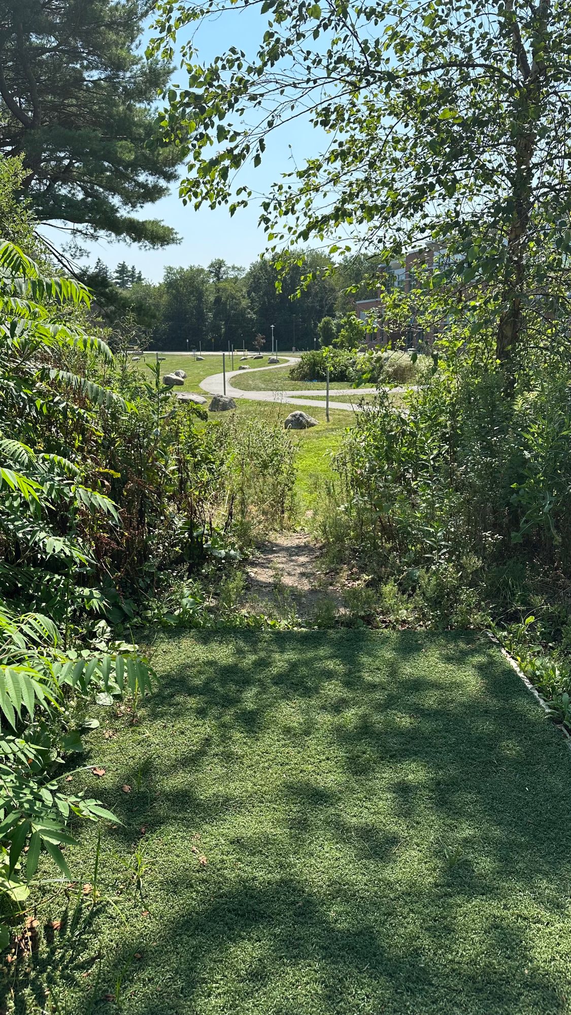 Hole 1 Tee