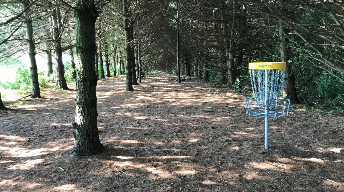 Basket looking back on hole nine.