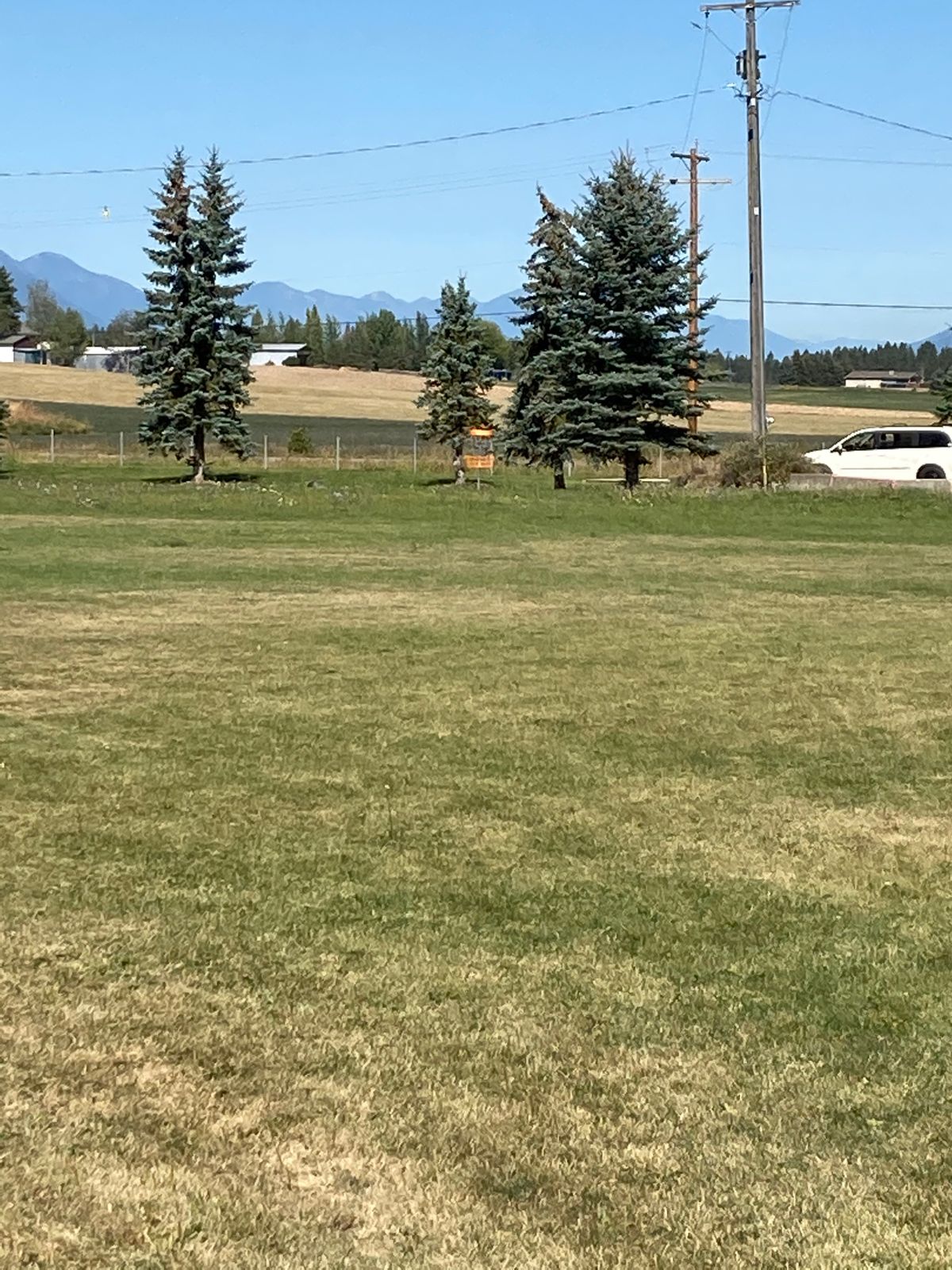 Hole 8 basket