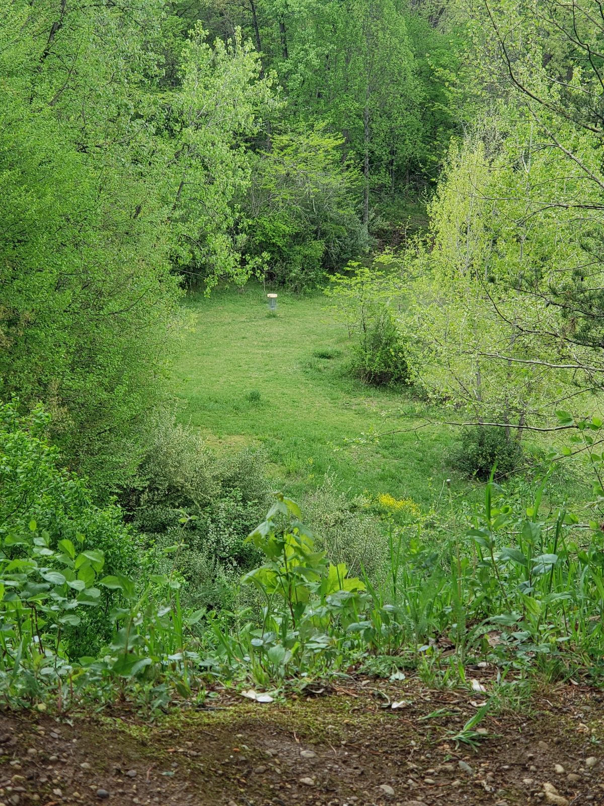 Hole 18, bottom of the cliff.