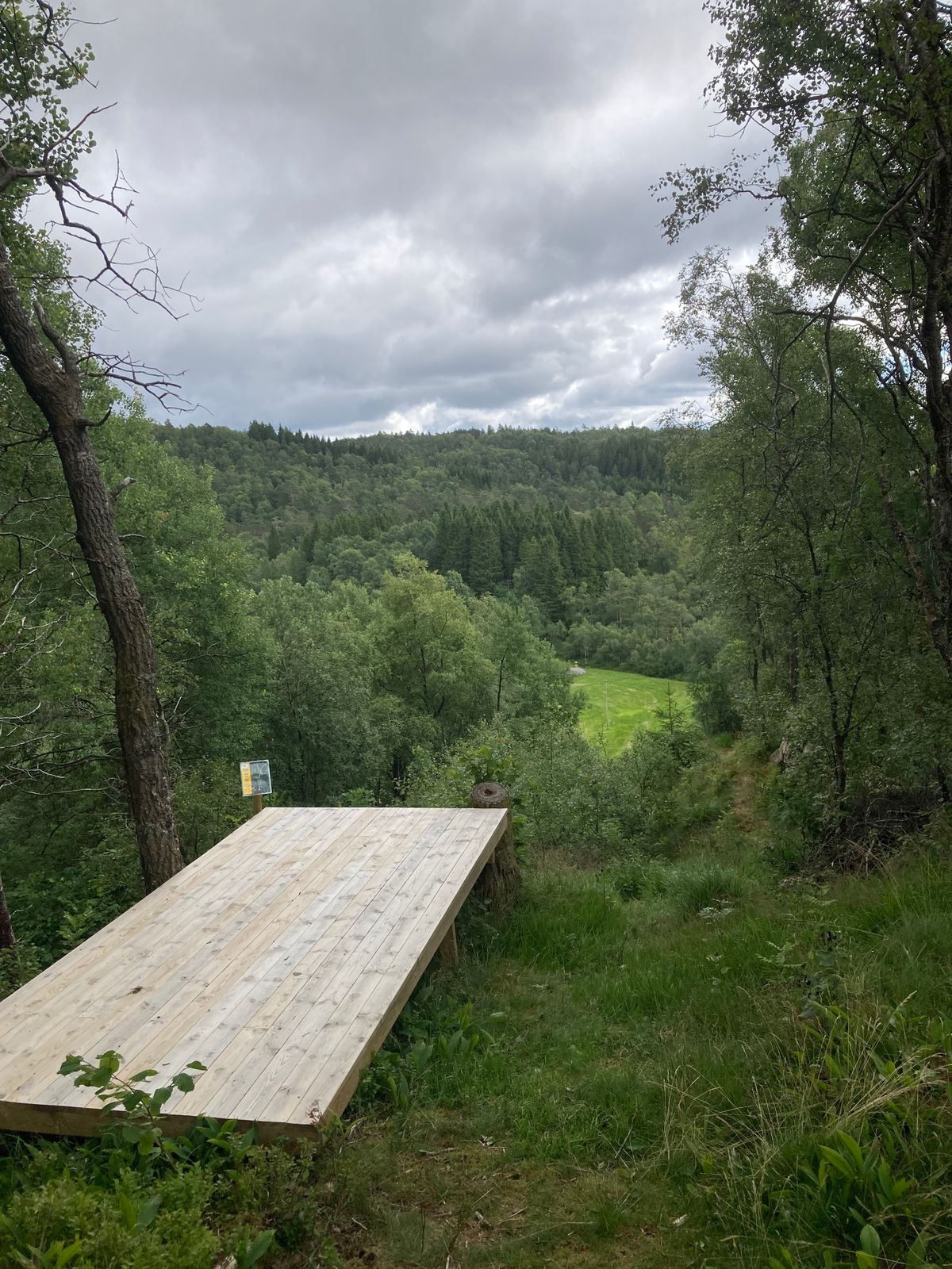 Teepad Hole 7