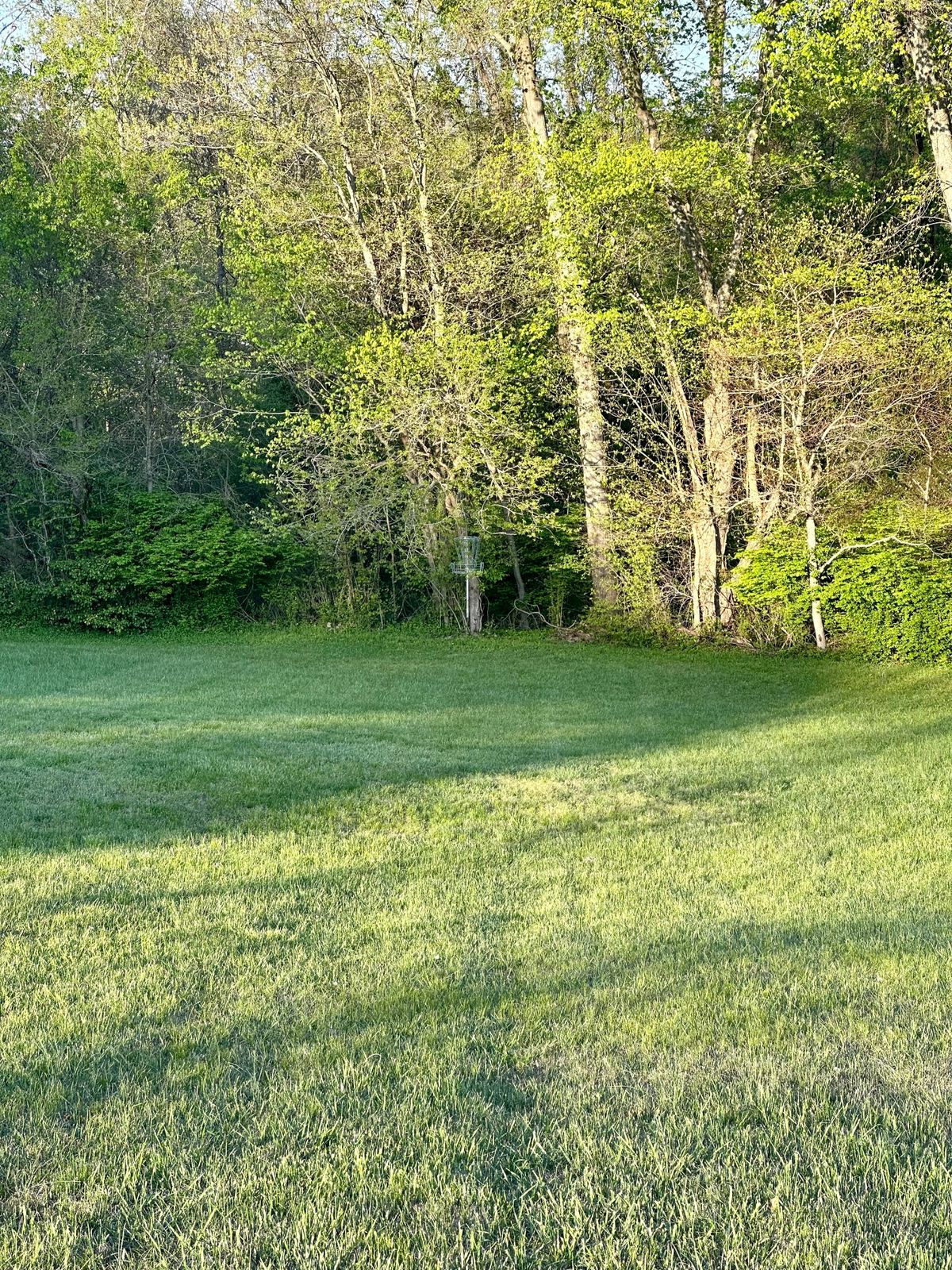Hole 8 hanging basket from tee.