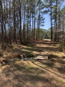 Fairway after bend to 16 green and temp basket