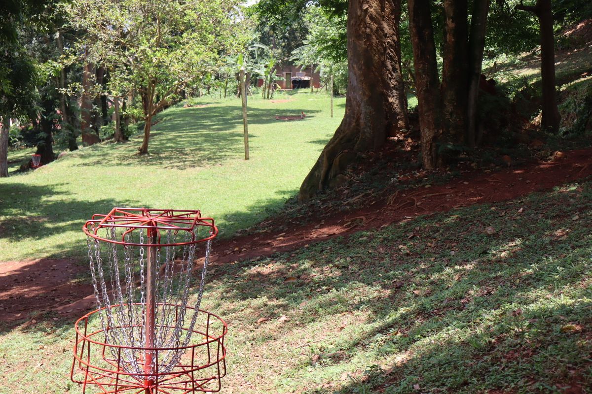 Hole 5 basket