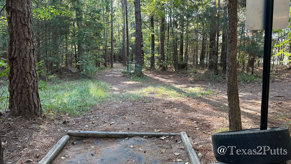 Hole 11
