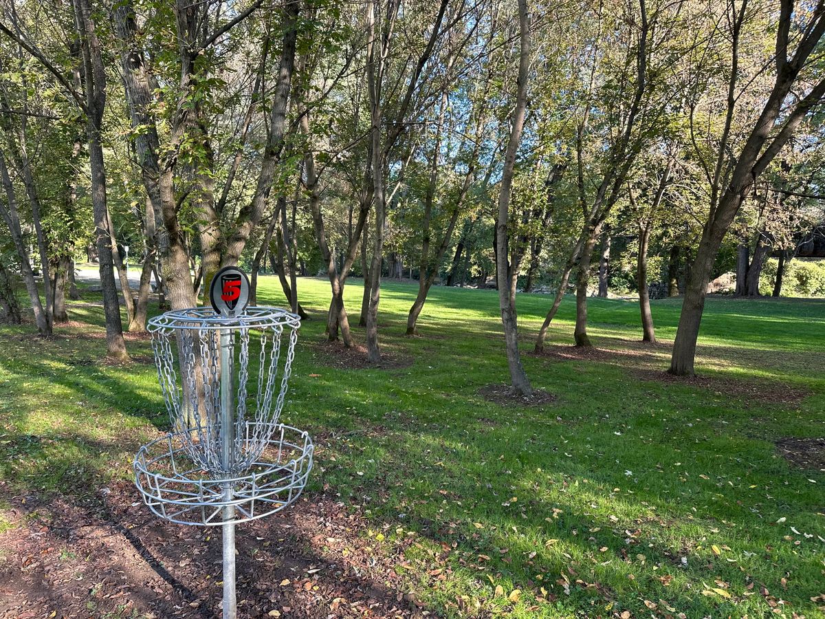 Hole #5 basket!