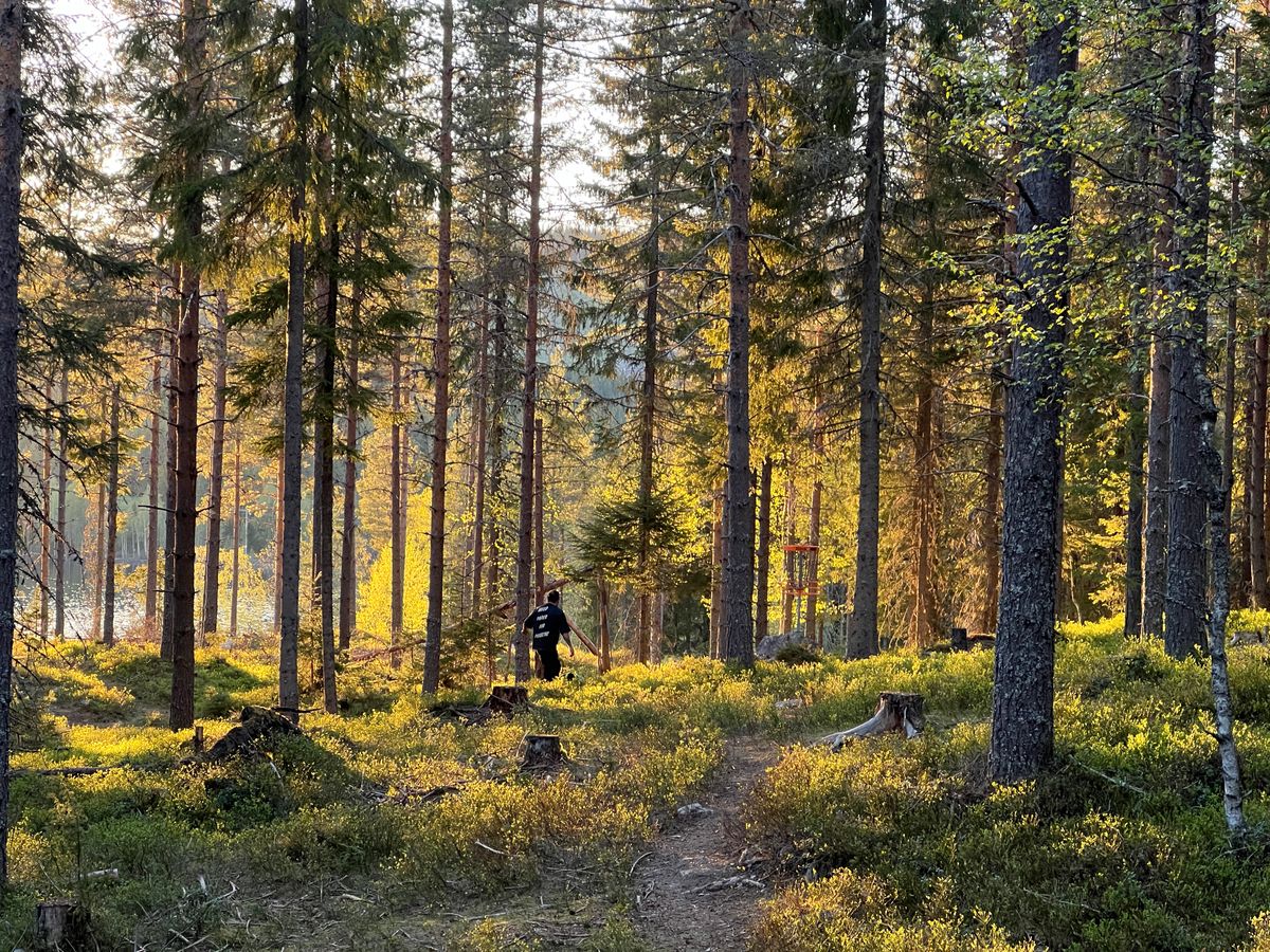 Hull 6 på kveldsrunde