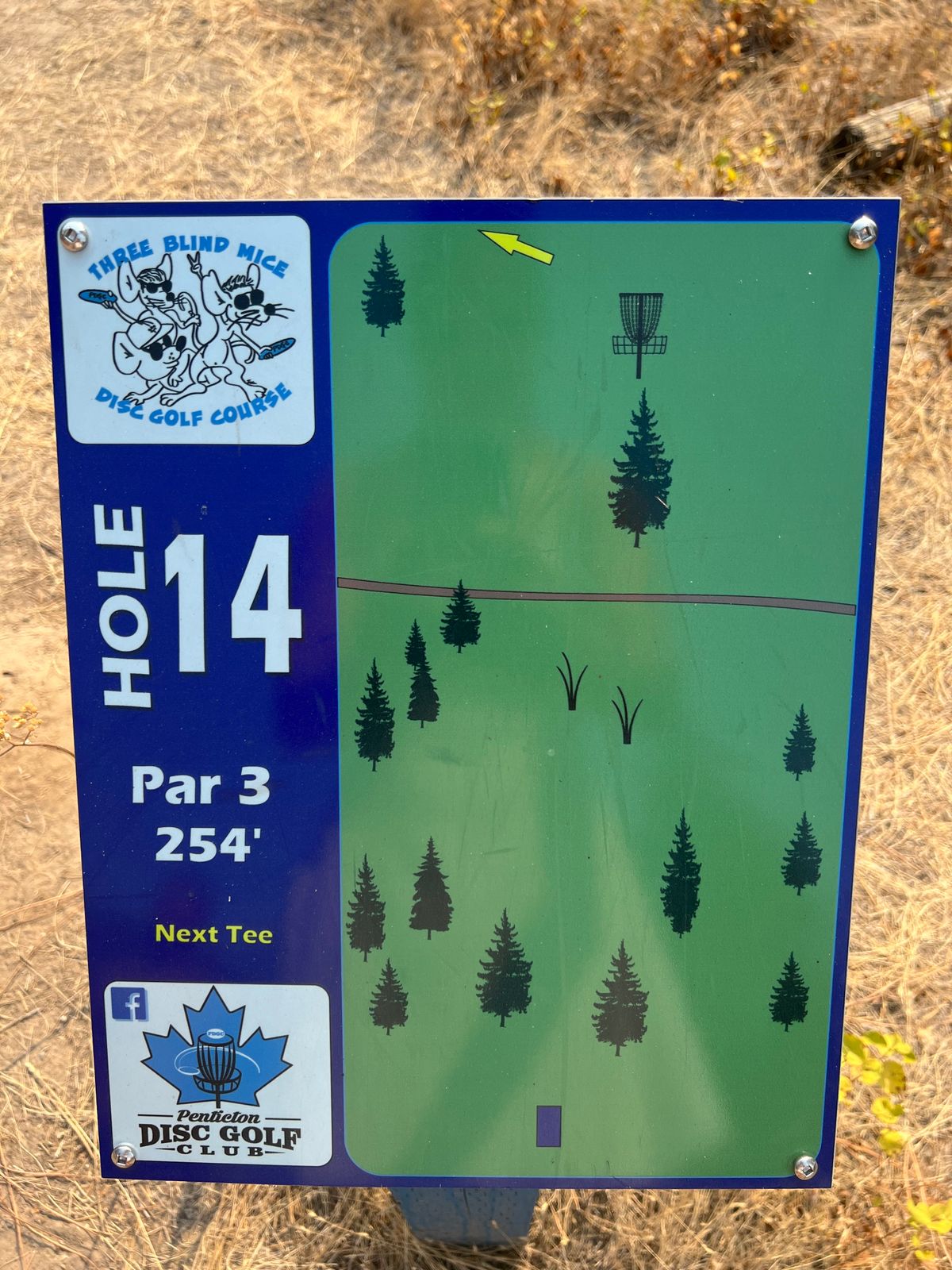 Hole 14