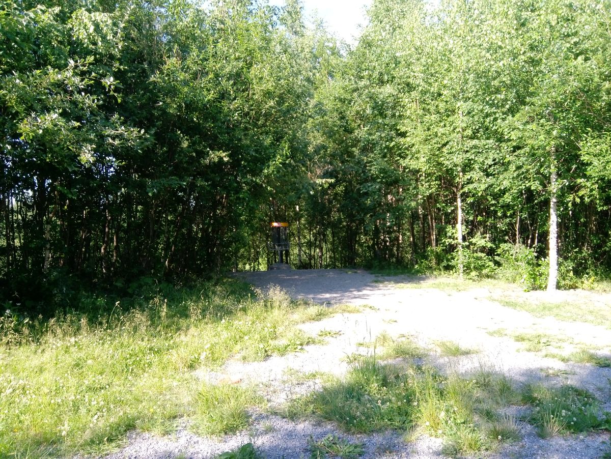 Hole #10 basket (4.7.2022).