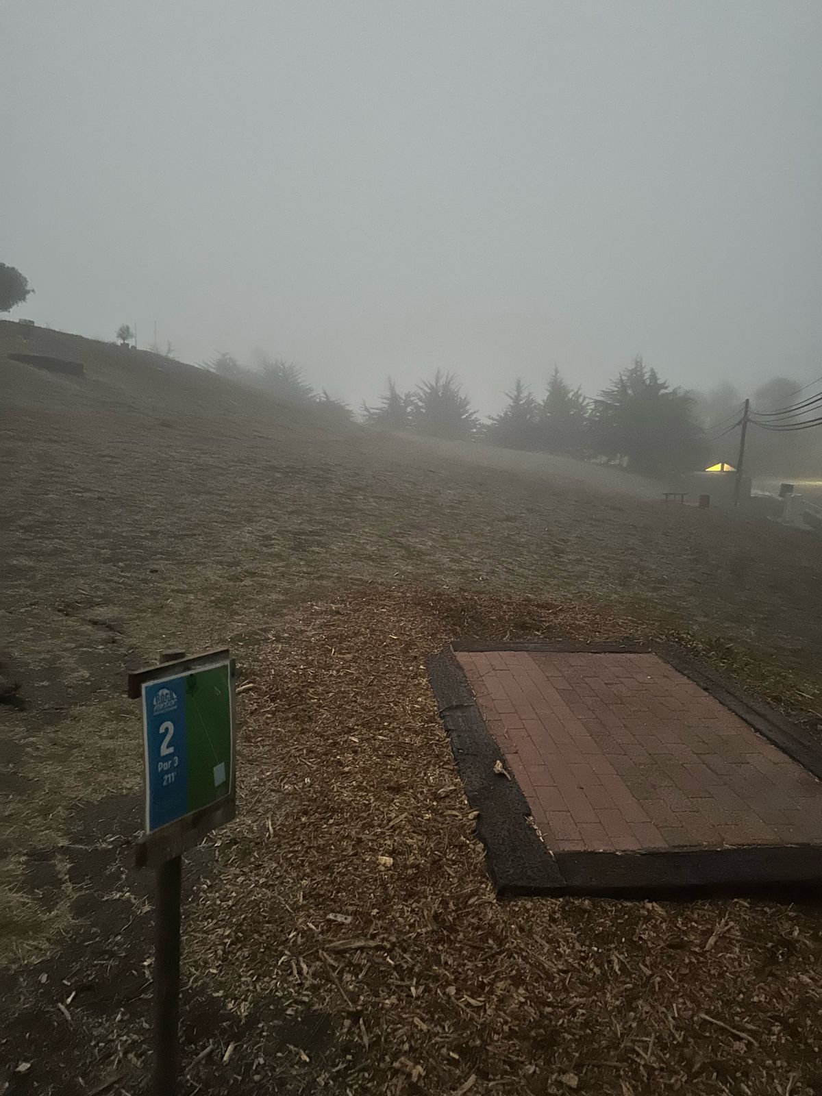 Tee pad 2